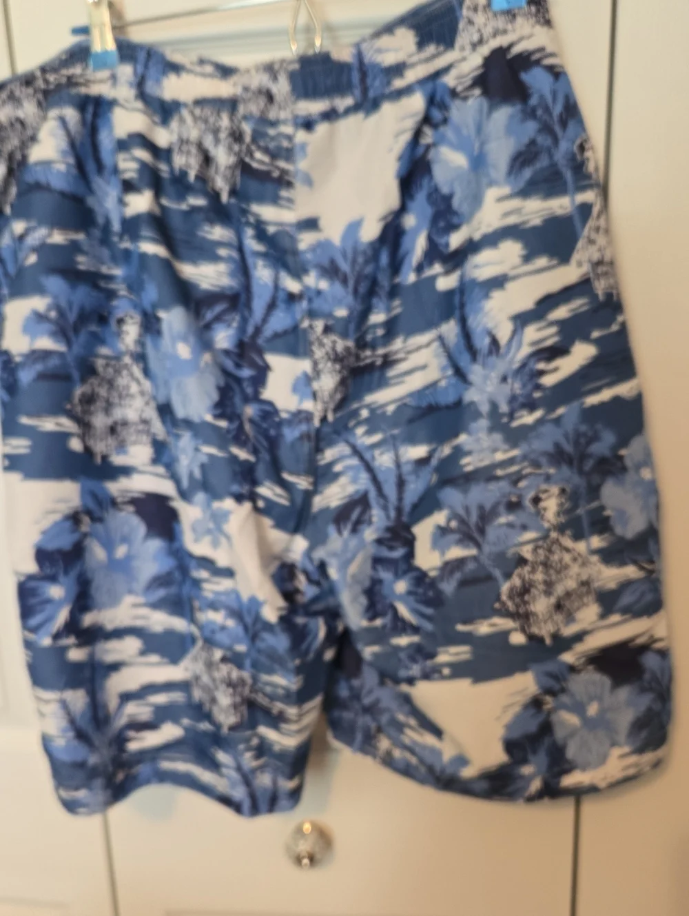 2 Pair Big And Tall Swim Shorts